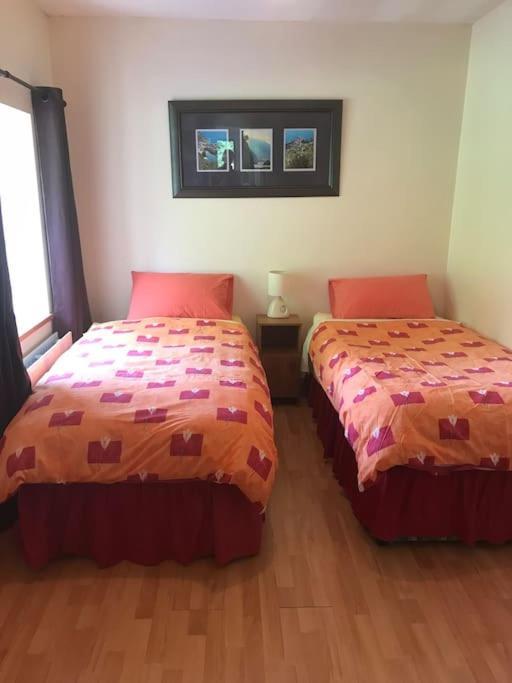Castlegregory-Seaside 2 Bedroomed Cottage Екстериор снимка