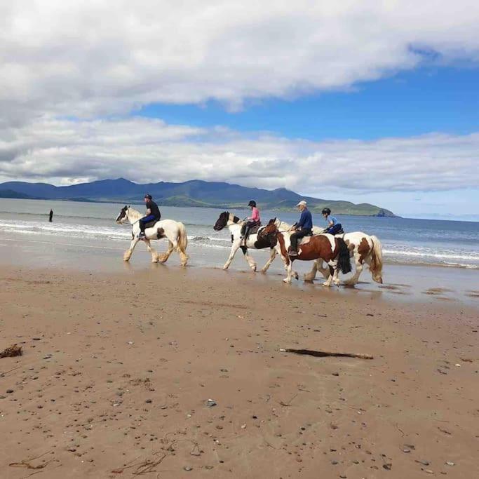 Castlegregory-Seaside 2 Bedroomed Cottage Екстериор снимка